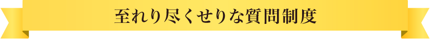 至れり尽くせりな質問制度