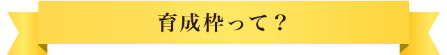 育成枠って？